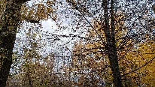 В Калужской области вновь объявили беспилотную опасность