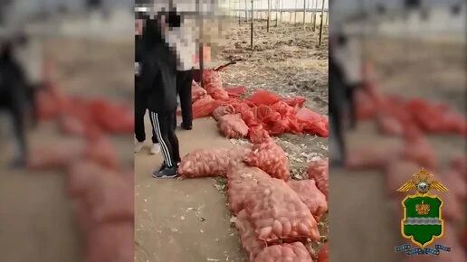 В Тарусском округе полицейские задержали 10 нелегальных мигрантов