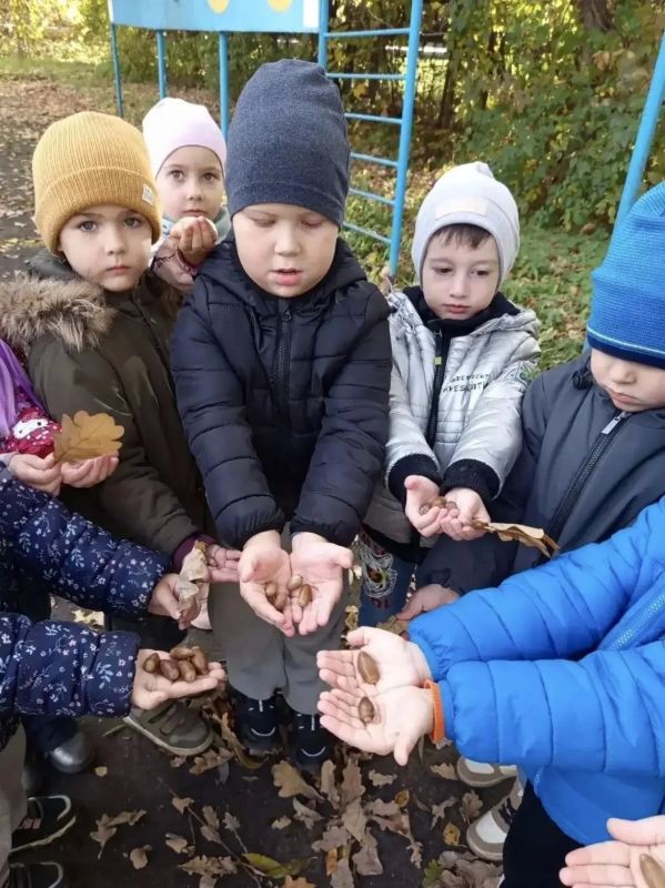 Маленькие исследователи: в детских садах Калуги малыши изучают осень Маленькие исследователи: в детских садах Калуги малыши изучают осень