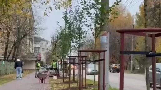 В Калуге высадили яблони на улице Жукова