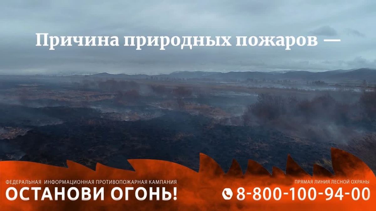 Причина 9 из 10 случаев природных пожаров — человек