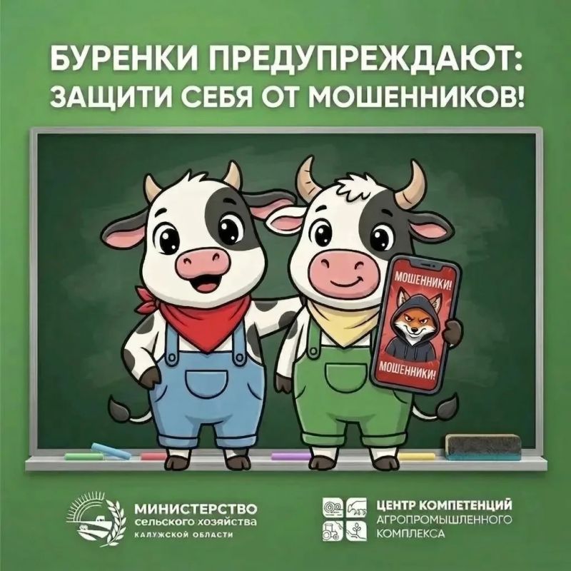 Защитите себя от мошенников: новый сервис на Госуслугах