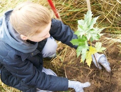 Более 2 тысяч деревьев высадили в Калужской области