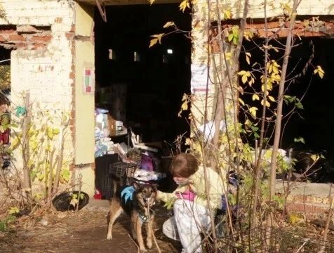 В Калуге не могут найти владелицу скандального приюта
