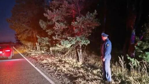 В Калужской области завели уголовное дело после гибели пешехода