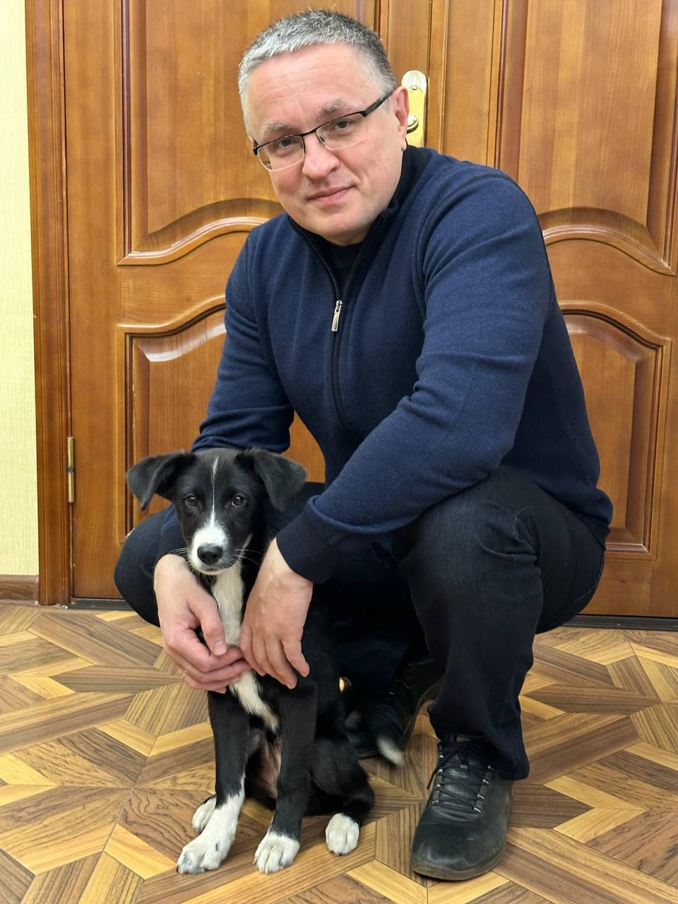 Сотрудники администрации Калуги ищут дом щенку