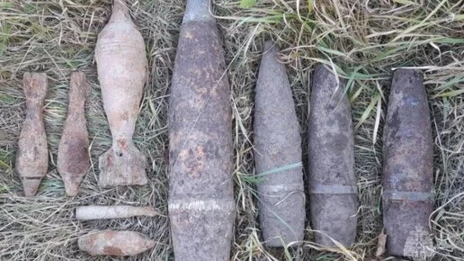 В калужском поле нашли девять боеприпасов