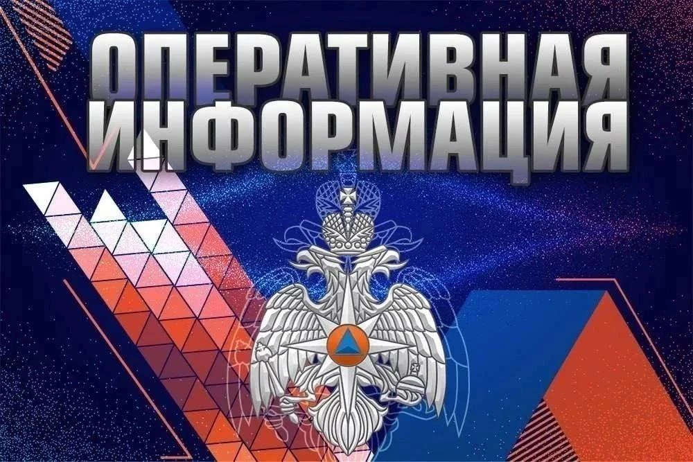 Оперативная информация за 29 октября 2026 года