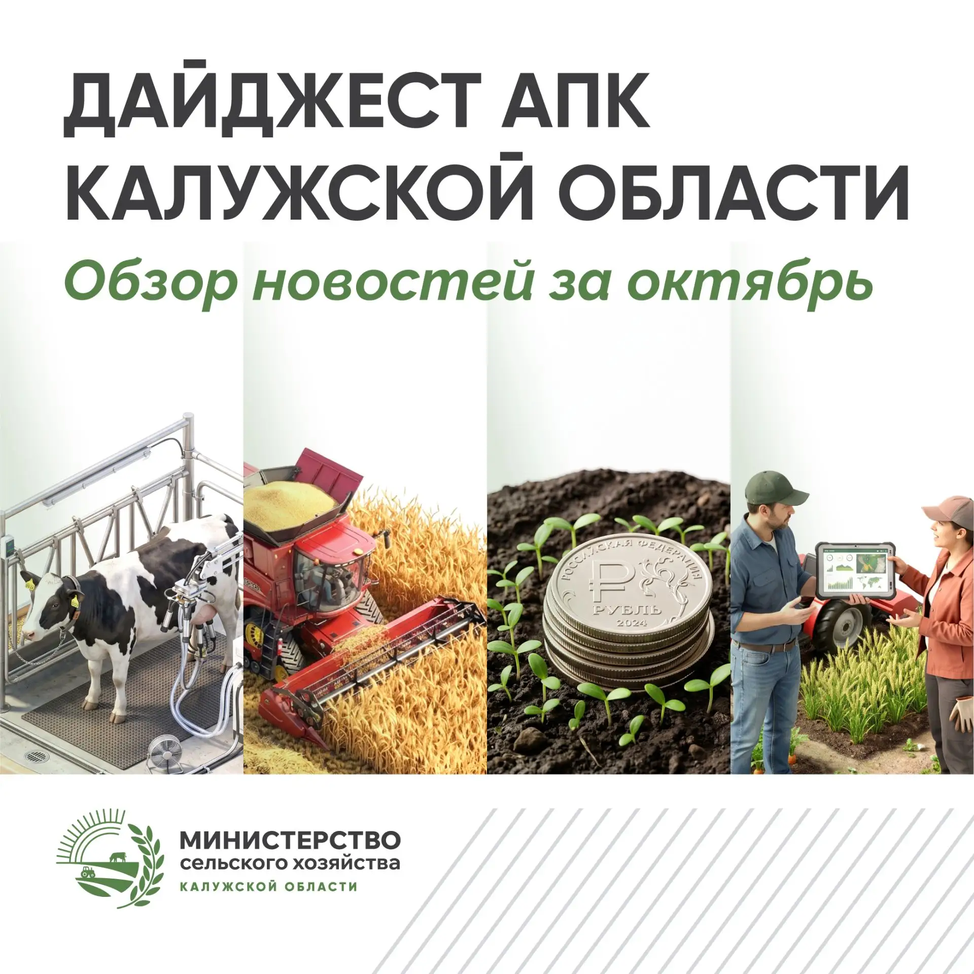 Октябрь в АПК Калужской области: главное за месяц