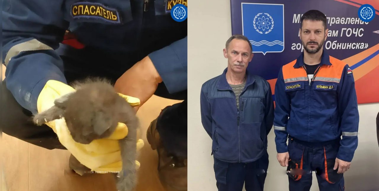 В Обнинске жители вызвали спасателей на помощь котенку