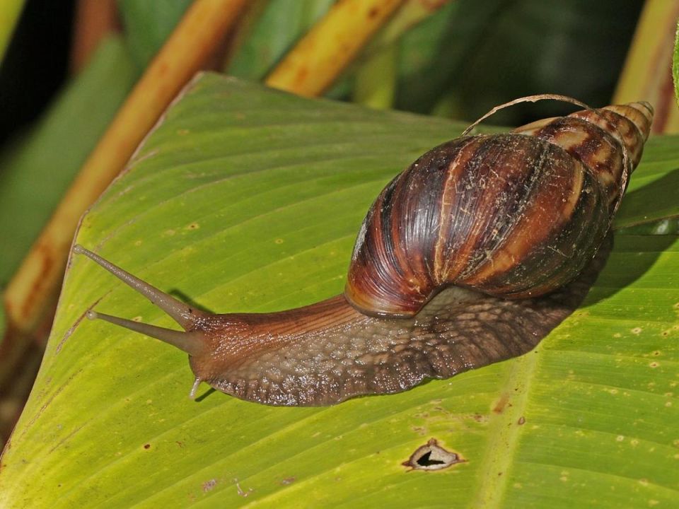 ��� ������� ������ �������� ����� ����������� ��� ���