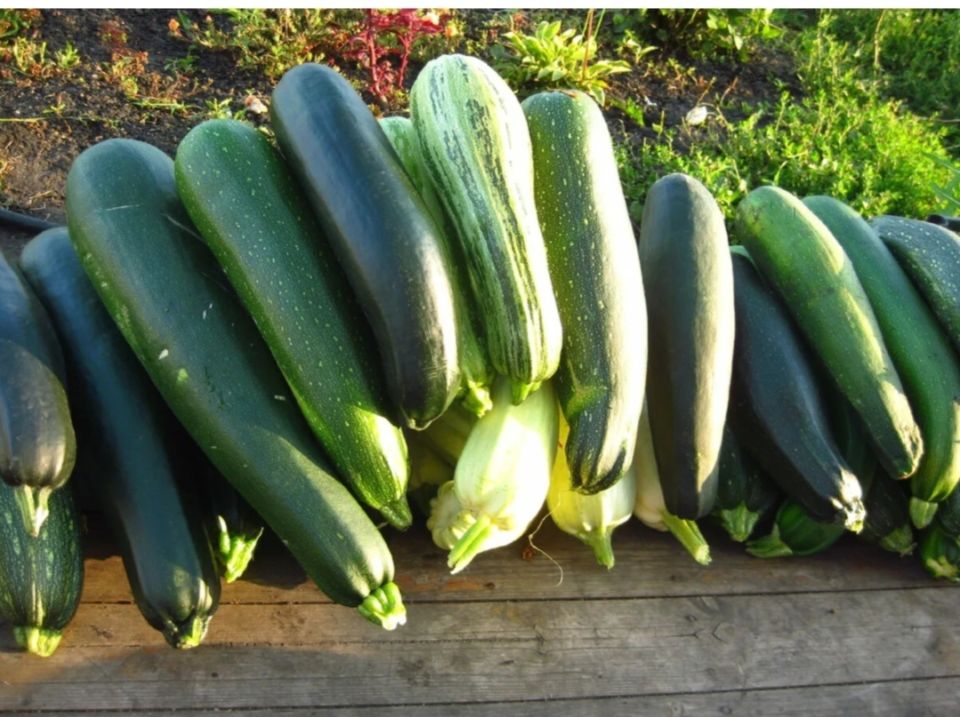 Вкусная закуска за 15 минут: кабачки по-венгерски