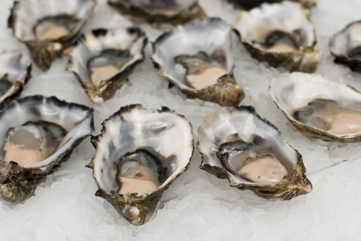 Какие закуски готовить с морепродуктами: опытные хозяйки дали свои рецепты оригинальных угощений