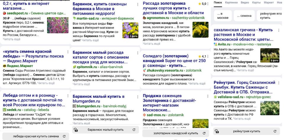 Неожиданные садовые гости: как избежать неприятных сюрпризов с растениями