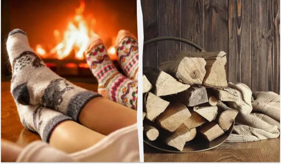 Как выбрать дрова для зимнего тепла: секреты эффективного отопления