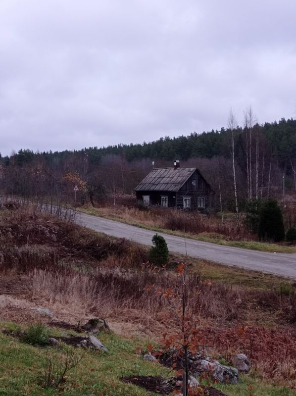 Яркие акценты ноября: как чашки для кофе и чая могут поднять настроение