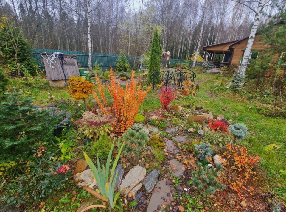 Октябрьский марафон по озеленению: уникальные саженцы в поисках нового дома