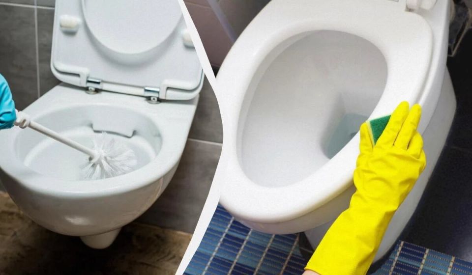 Секреты идеальной чистоты: как восстановить сиденье унитаза без лишних усилий