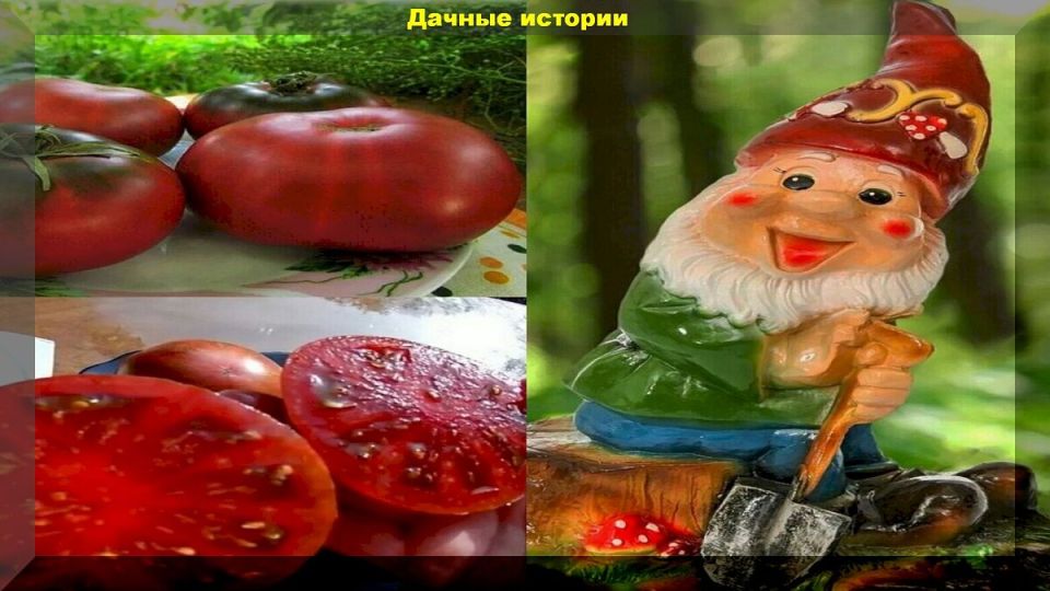 ������-�����: ������ �������� �������� �� �����