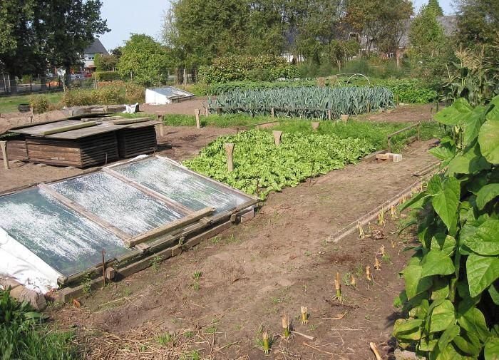 ��� ������� ����� ���� � �������: ������ �� ���������