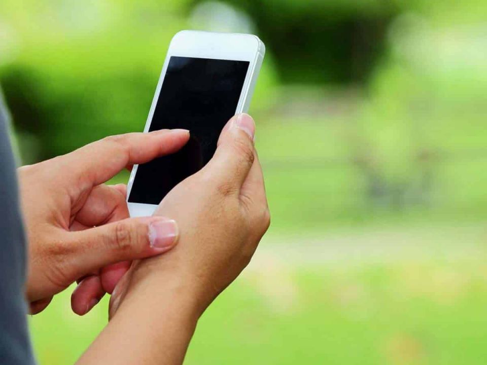 ��� ������� ������� �� ��������: ������� ���� � ������