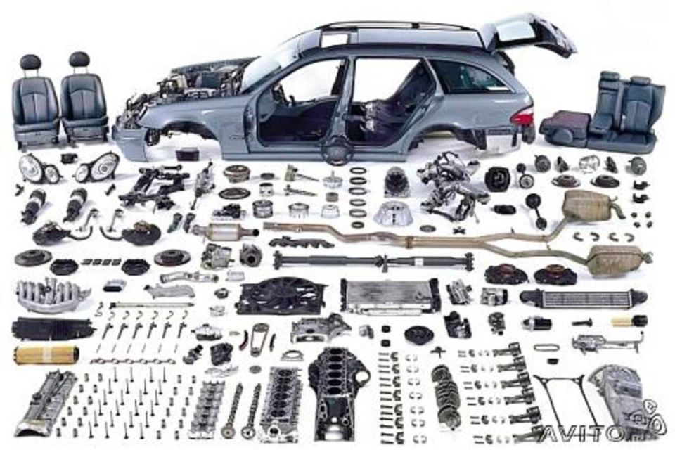 ������� �������������: ��� �������� ���� ����� � 2025 ����