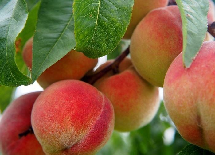 ������� ��������� ����� �� ���������