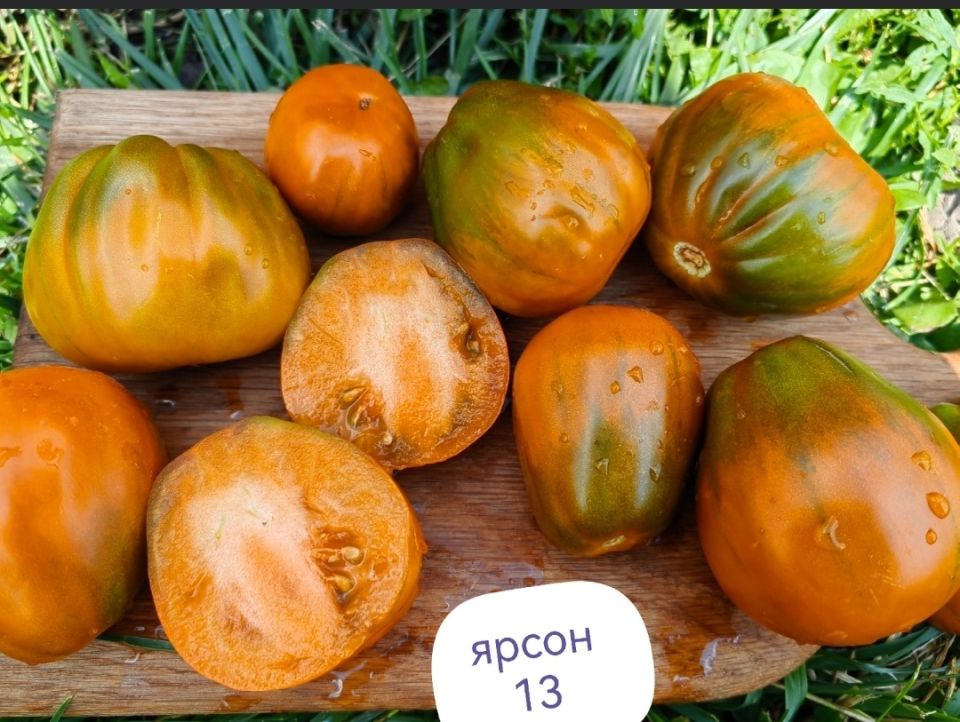 Топ-10 сортов томатов для теплиц, которые стоит попробовать