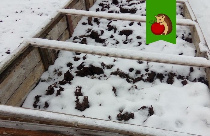 ��� �������� �������� � ������ ������: ������ �� ����� � �������� ����������� ����