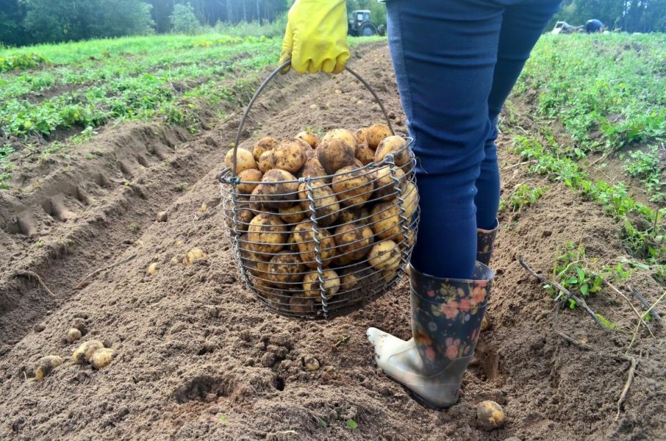 ������� ��������� �����������: ��� ������ ����� ��������� ��� ������������� ������