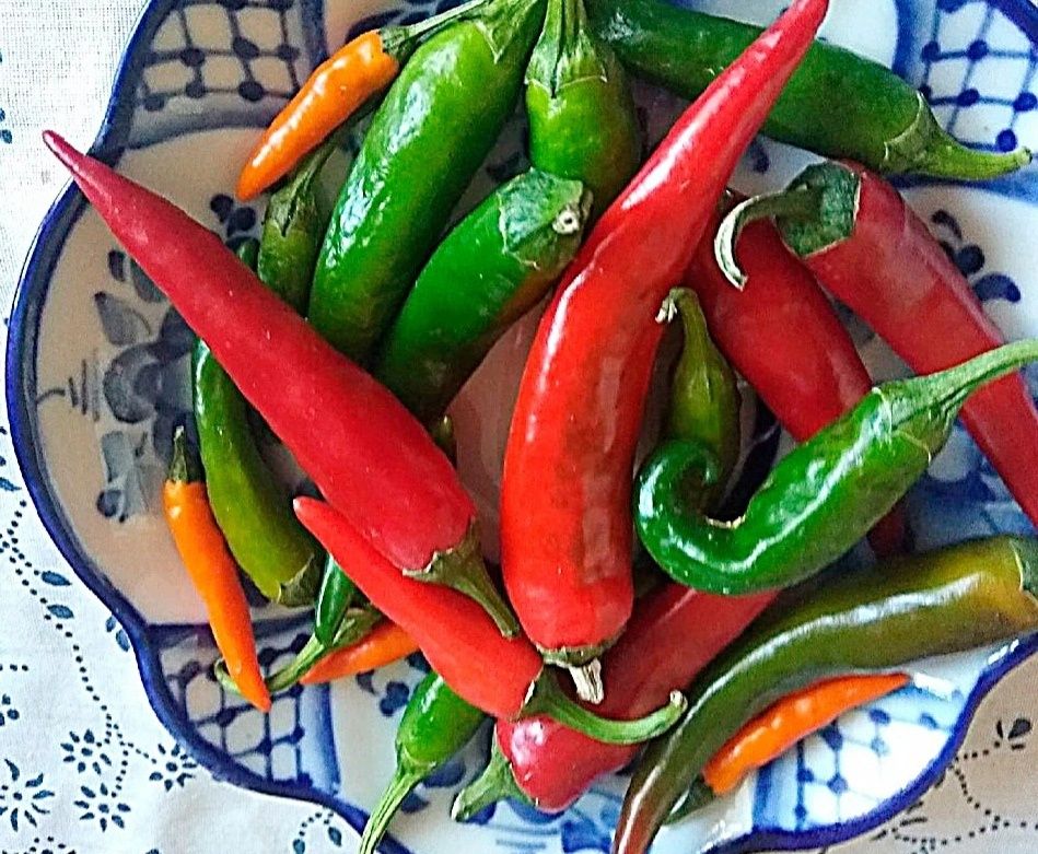 ������ ������� �����: ������� � ���� � ����� �������