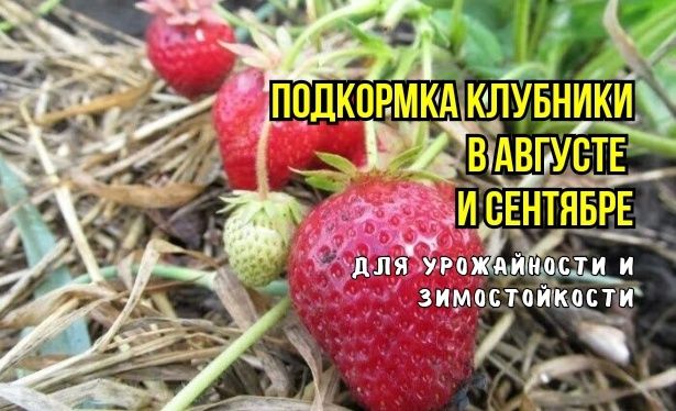 ����� ��������� ����� �� ��������� � ����� ����: ��� ��������� ���������