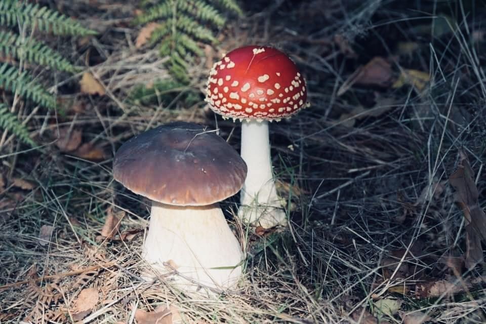 ��� ��� ����������: ����� �� ��������� ����� ����� ���������, ����� ����� � ���������?