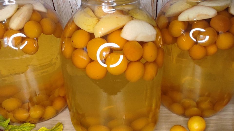 ���� ���� � ������ �����: ������ �� ����� � ����� �� ����