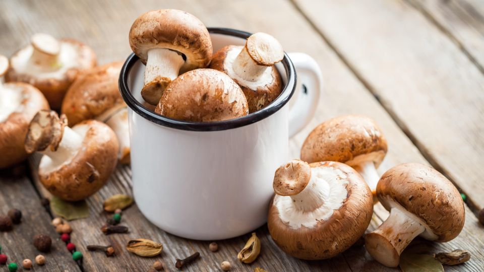 �������� �������� ���������� � ���� ������������: ����� ��������� ��� �����