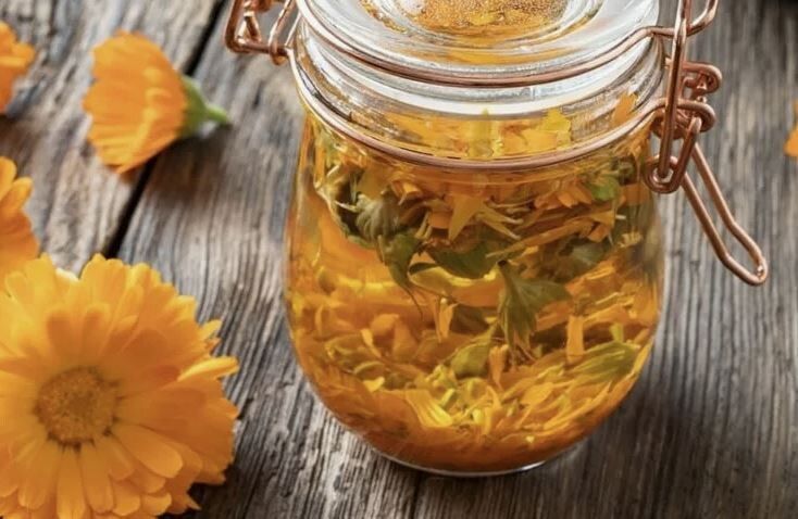 ������������ �����: ��� �������� ������� �������� ��� �������� � �������