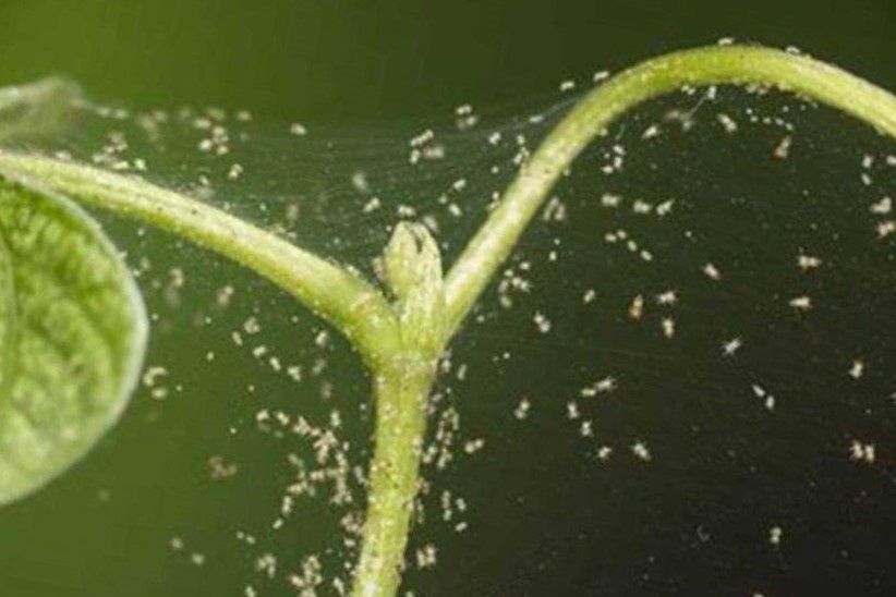 �� ����� ���������� ����� �������� ��� ������!