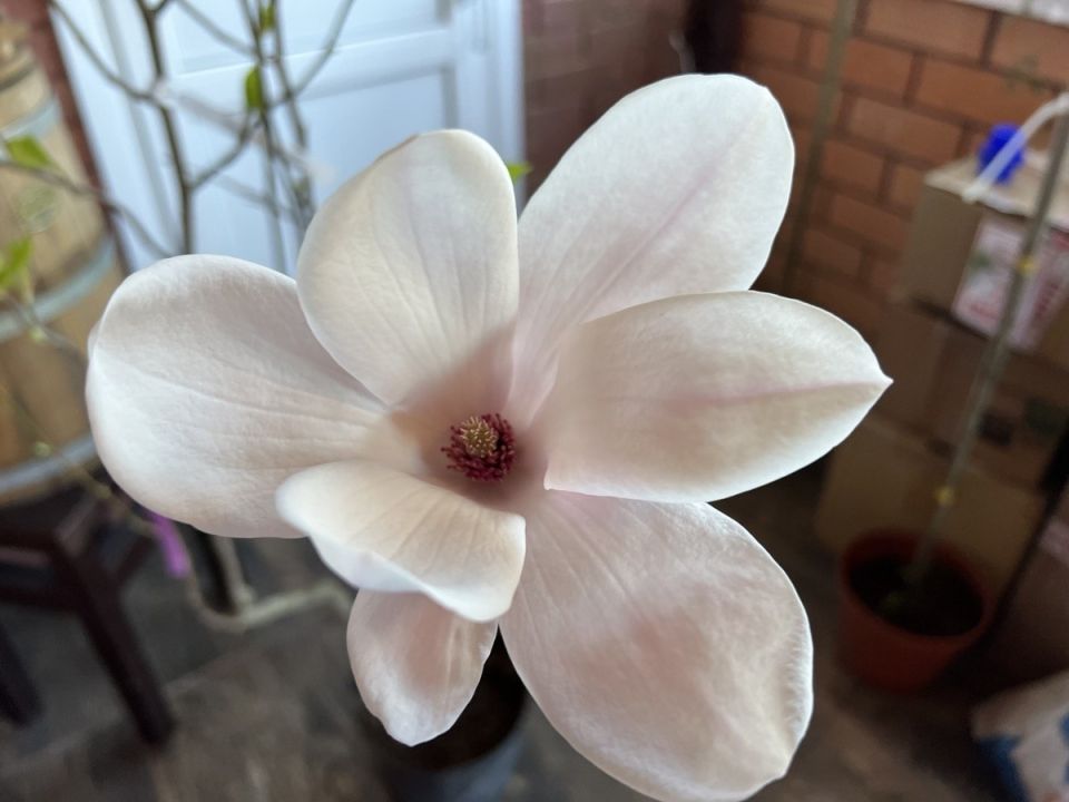 ��� ��������� �������� ����� � ��� �� ��� ��������