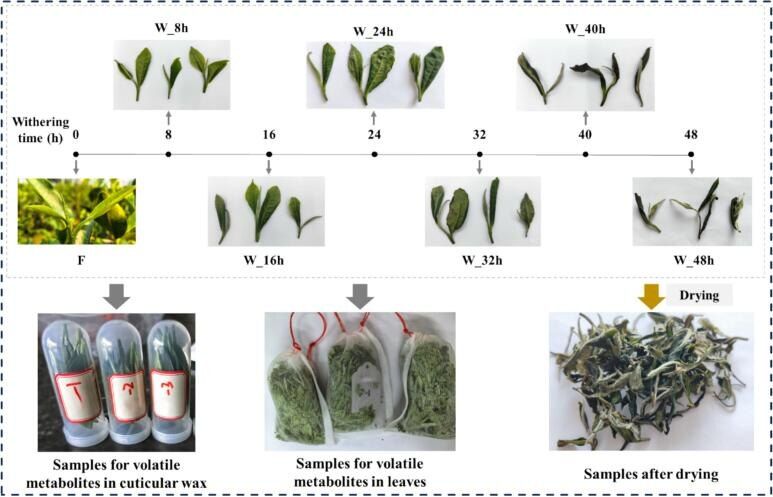 ��� ������ ������ �� ���: ������� ������������� �����