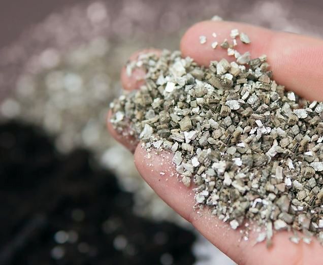 ���������� ��� ������ ��������� ������ ������ �����