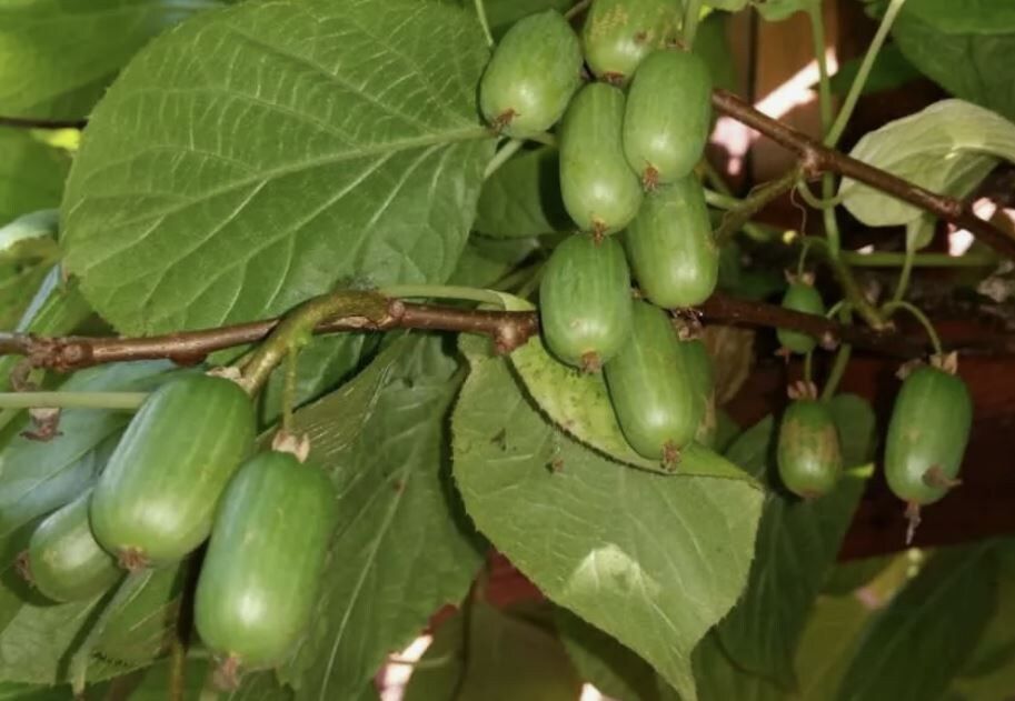 ��������� � ������� ������: ��� ������� ���������� ����� � �������� ������� ������