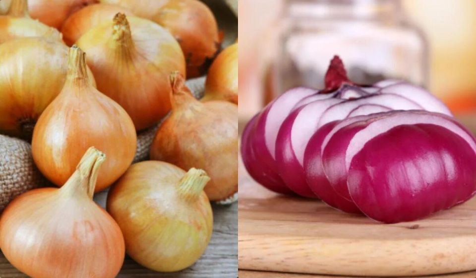 ��� ��������� ������� ���, ����� �� ��������� ������ �� ��������