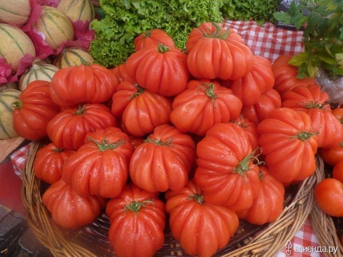 ������������ ���������: ��������� ����� � �������� ���������� ������� � �������