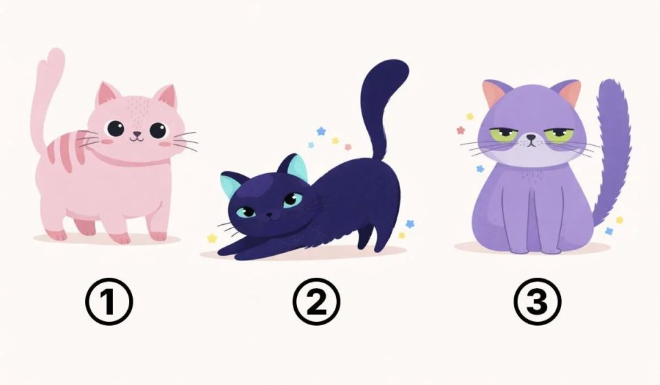 Увидел котёнка — увидел себя: как образ на рисунке подсказал близким ваши черты