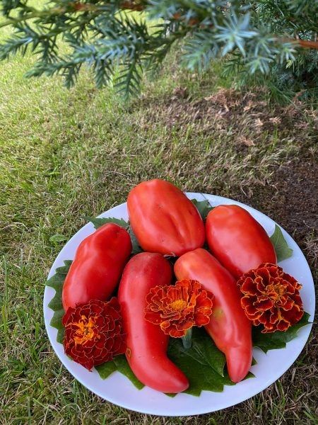 ����� ����� ������ ������ � ������������ ����� � ��������������� ������������ � ������� � �� �������