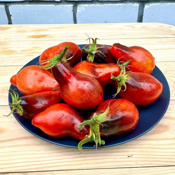 ��������� �������� �������� �������: �������� ����� � ����� � ����� �����