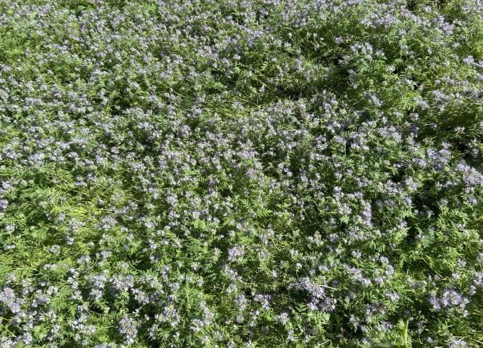 ��������� ���������� ������� � � ������������ �������� ��� ����