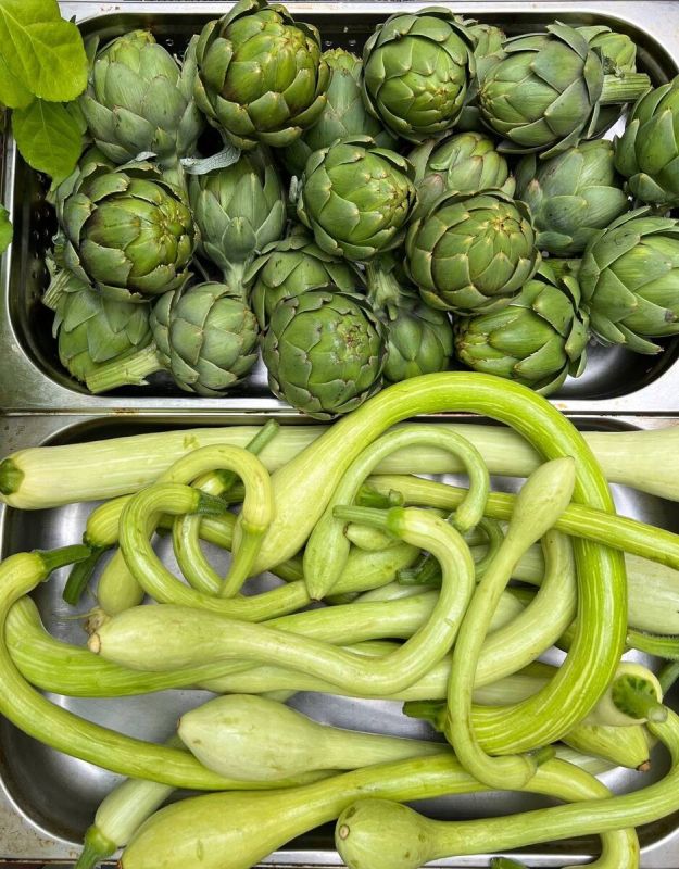 Novikov Group ������ ������ �� ��������: ����� ����� � ���������������� ����� � ����