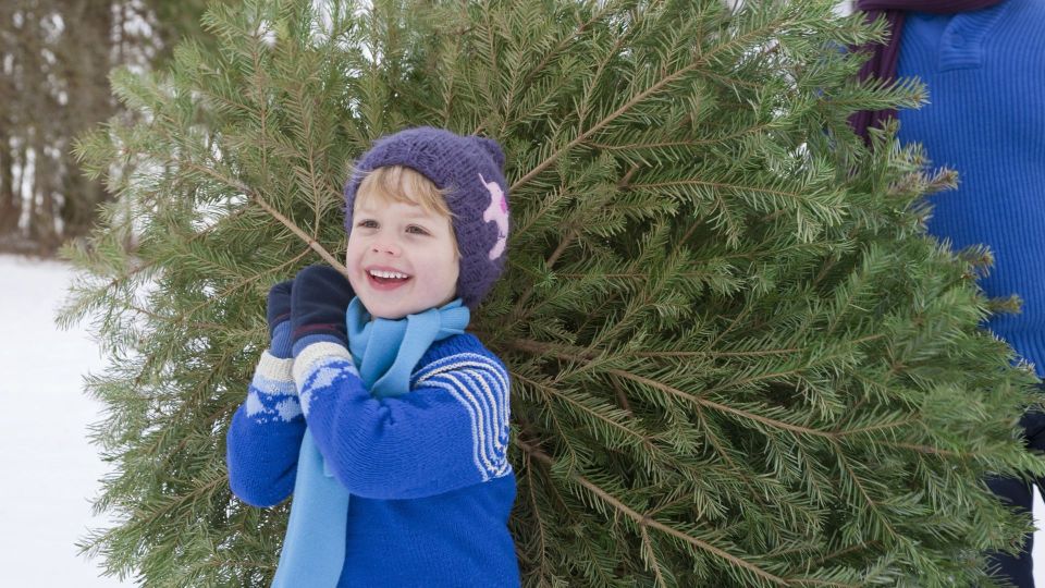 ���������� ������� �� ������ ���� ������ � ��������: ����� ��������� �� ����� ��� ���� �������