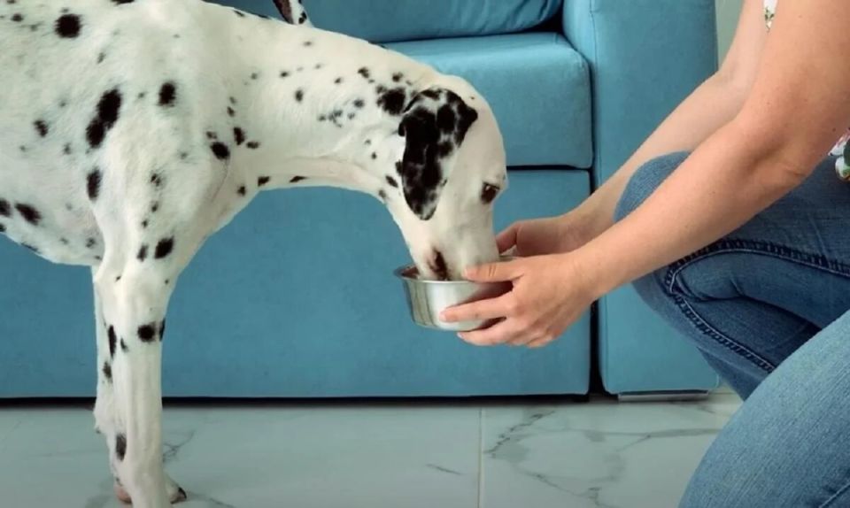 ��� ������������ ��������� ����� �������� ������ �������� � �������� ������